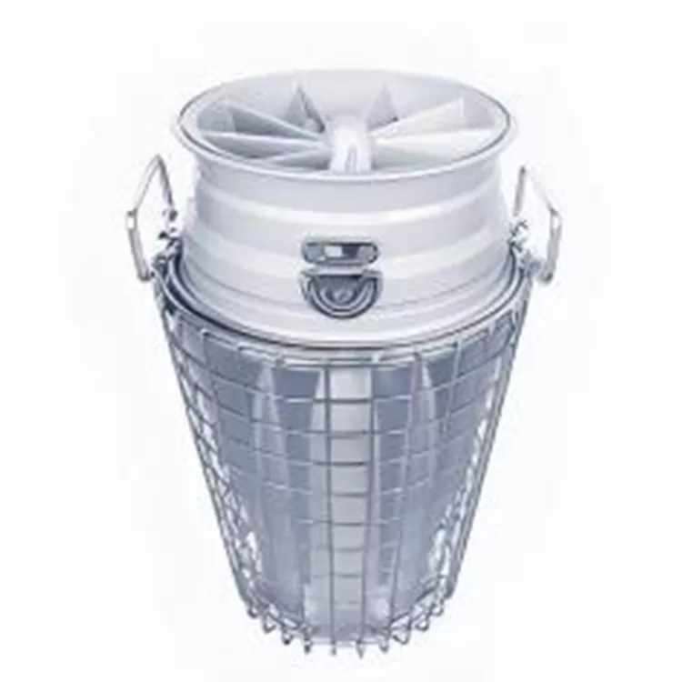 Permanent Magnet High Phallo Pump
